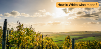 What are the different methods of  White Wine making?